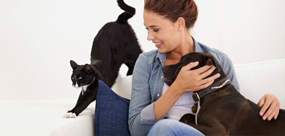 Pet Wellness Care Near Me 20850 Woodley Gardens Veterinary Care